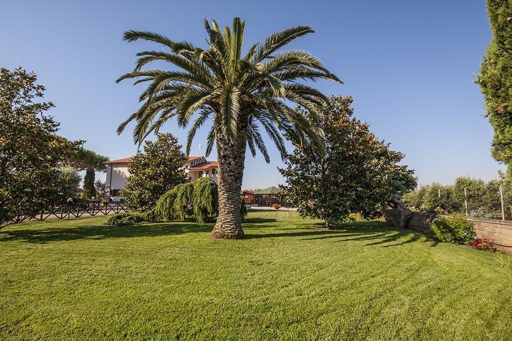 Agrimare I Pavoni Appartement Montalto di Castro Buitenkant foto