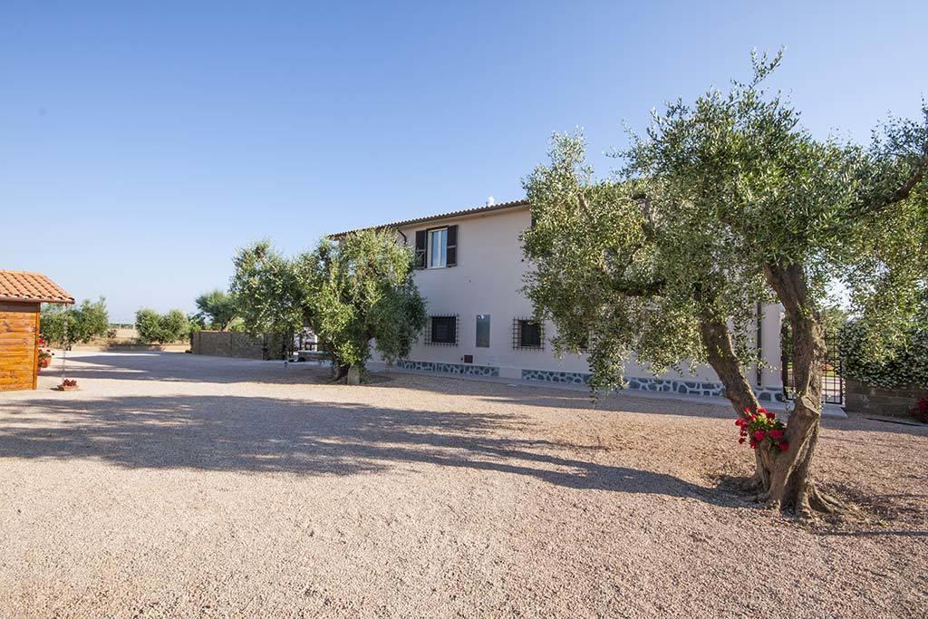 Agrimare I Pavoni Appartement Montalto di Castro Buitenkant foto