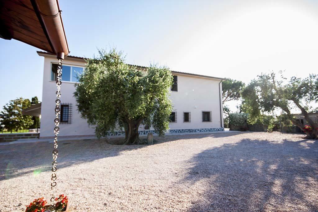 Agrimare I Pavoni Appartement Montalto di Castro Buitenkant foto